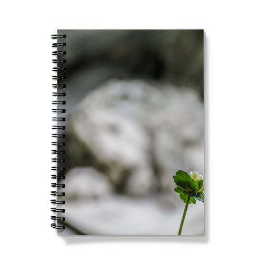 Lion Monument Notebook